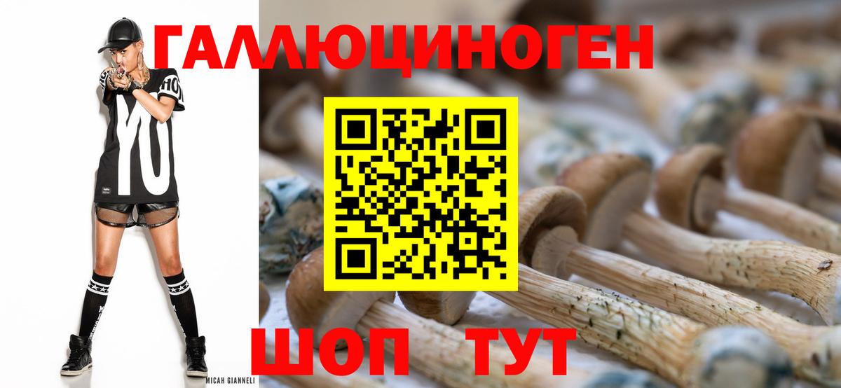 Псилоцибиновые грибы Psilocybine cubensis Орск